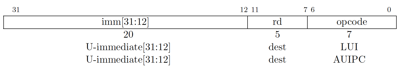 LUI & AUIPC instruction formats